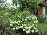 76d9a18a-Picture 070.jpg